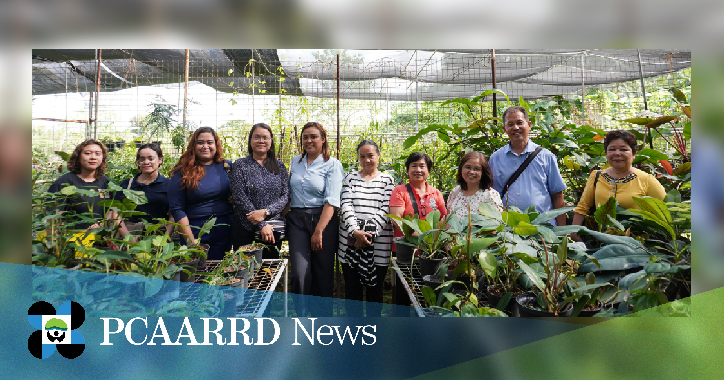 DOST-PCAARRD, NSIC Varietal Improvement Group bolster support to advance ornamental and medicinal plants R&amp;D